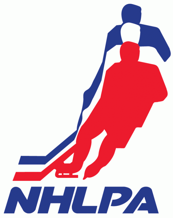NHLPA 1971-2013 Primary Logo iron on transfers for T-shirts